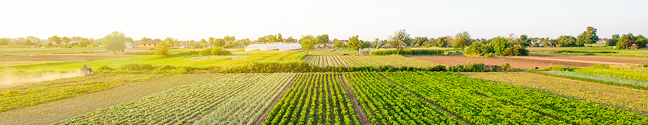 &#x20;&#x20;sei&#x20;una azienda&#x20;agricola&#x3F;