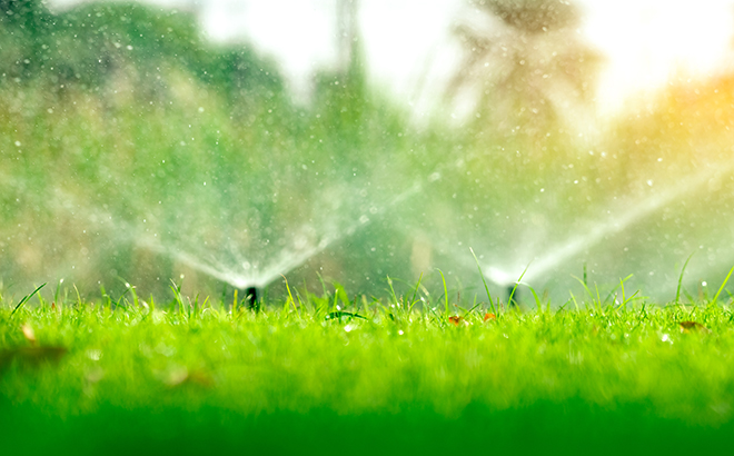 irrigation shop